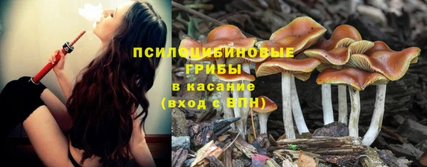 герыч Алзамай