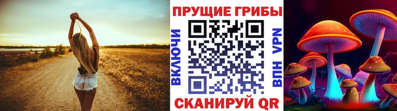 Псилоцибиновые грибы прущие грибы  Аргун 